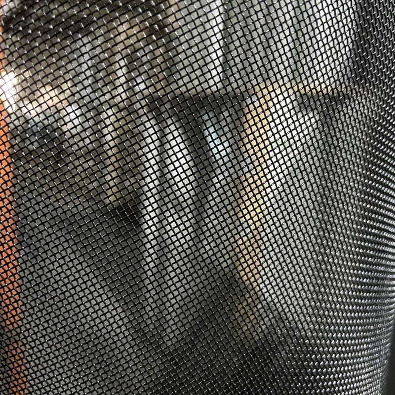 Black Stainless Steel Wire Mesh